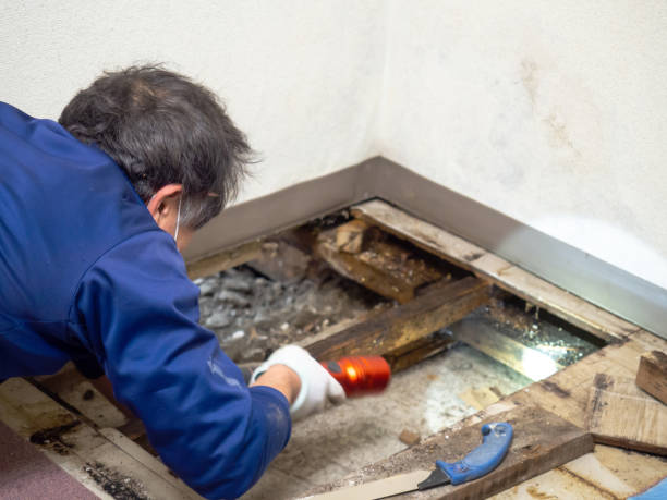 Best Crawl Space Mold Removal  in Nowata, OK