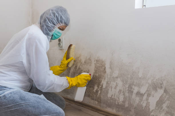 Best Crawl Space Mold Removal  in Nowata, OK