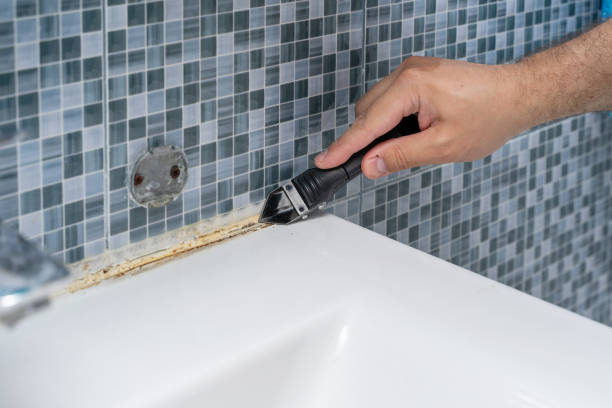 Best Home Mold Removal  in Nowata, OK