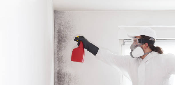 Mold Removal and Inspection in Nowata, OK