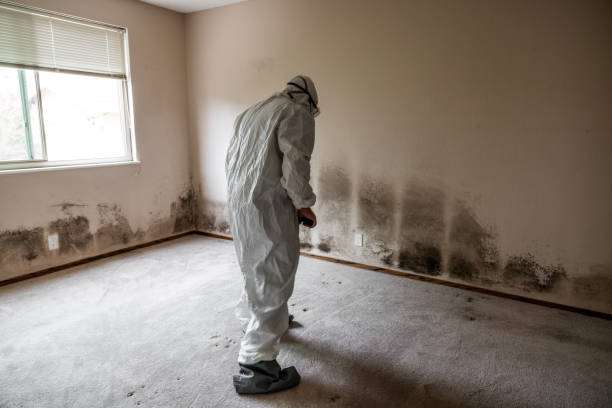 Best Certified Mold Removal  in Nowata, OK