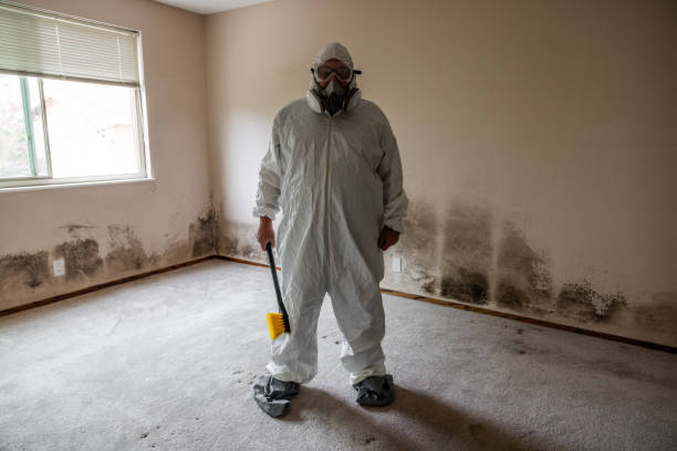 Best Residential Mold Removal  in Nowata, OK